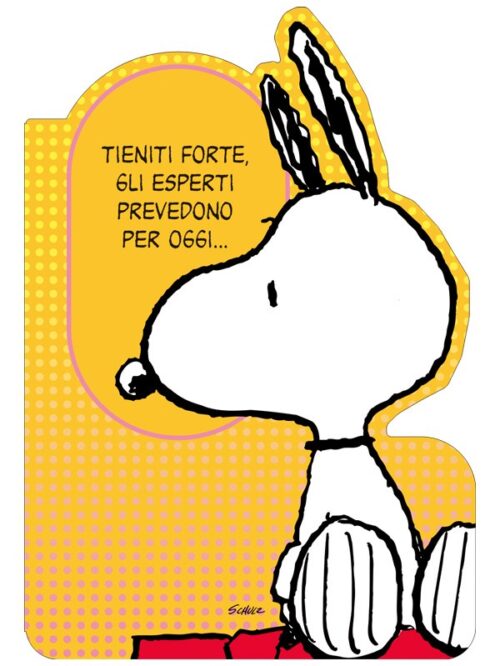 Biglietto di auguri Peanuts compleanno - "Tieniti forte"